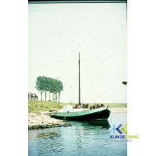 Schokker F00002348